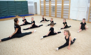 Школа художественной гимнастики Gym Balance на Вешняковской